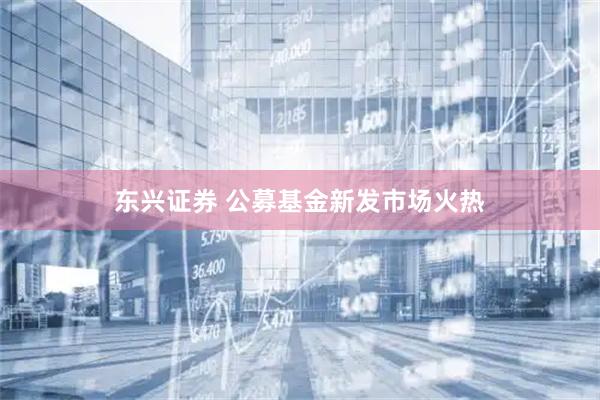 东兴证券 公募基金新发市场火热