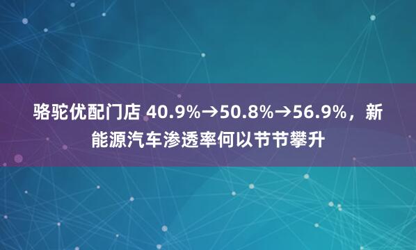 骆驼优配门店 40.9%→50.8%→56.9%，新能源汽车渗透率何以节节攀升